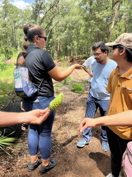 A mentor shows a plant to a group of young people on a trail in the woods.