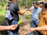 Three people stand together looking at plants. A hand from a person outside of the frame extends a ginger plant.